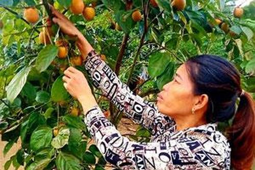 Hội viên nông dân vượt khó làm giàuTin khácMời bạn đọc, cộng tác viên gửi bài, ảnh cho Báo Lạng Sơn số Tết Dương lịch và Xuân Nhâm Dần 2022Doanh nghiệp nhỏ và vừa vững vàng vượt qua đại dịch