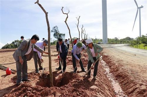 Hướng Hóa: Phân bổ kinh phí doanh nghiệp hỗ trợ để thực hiện Đề án Trồng 1 tỉ cây xanh