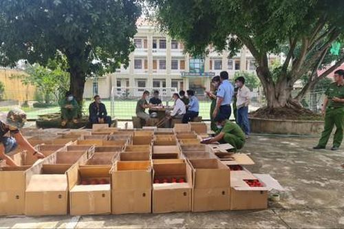 Phát hiện lượng lớn thuốc bảo vệ thực vật chứa chất cấm