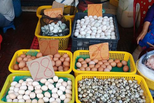 Giá thịt gà ở miền Tây tăng, giá trứng lại giảm