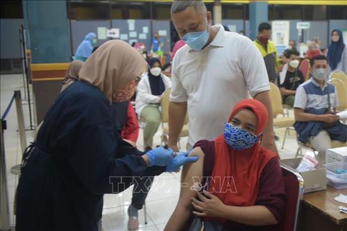 Indonesia rút kinh nghiệm từ tình hình dịch bệnh tại châu Âu