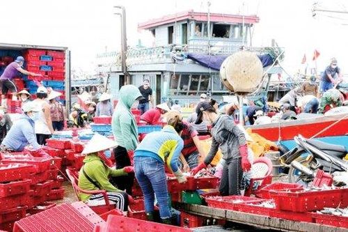 Kinh tế Kinh tế Vụ cá Bắc trong trăm ngàn thứ khó