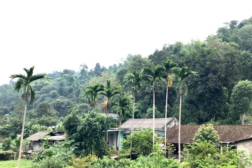 Vĩ Kim - bình yên làng giữa phố