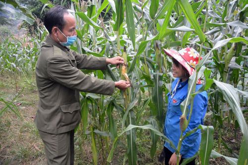 Chi bộ 2 Nhai Thổ phát triển đảng viên dân tộc Xá Phó