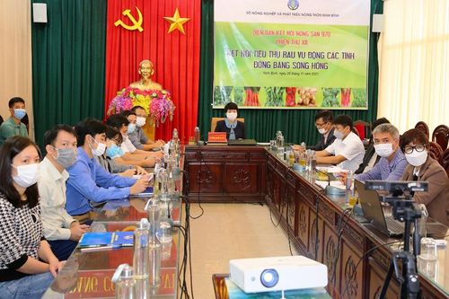 Kết nối tiêu thụ rau vụ đông các tỉnh đồng bằng sông Hồng