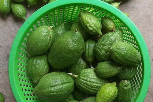 Loại chanh 'siêu to khổng lồ', vỏ sần sùi xấu xí mà giá bán cao ngất