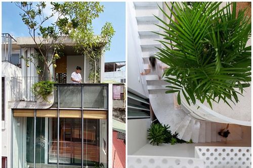 Báo Mỹ nức nở khen nhà phố nhỏ hẹp ngập ánh sáng giữa Hà thành