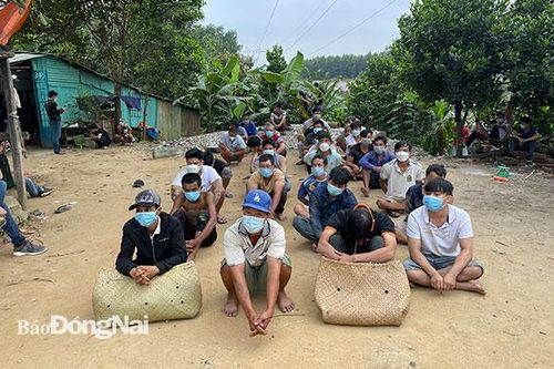 Công an Biên Hòa phá trường gà bắt 23 đối tượng