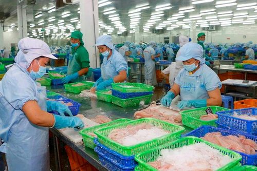 Doanh nghiệp chế biến thực phẩm kiến nghị bỏ quy định bắt buộc tăng cường i ốt