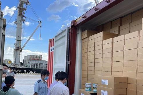Lô 22.000 hộp sữa từ thiện về Việt Nam tắc ở cảng 1 tháng, Hải quan nói gì?