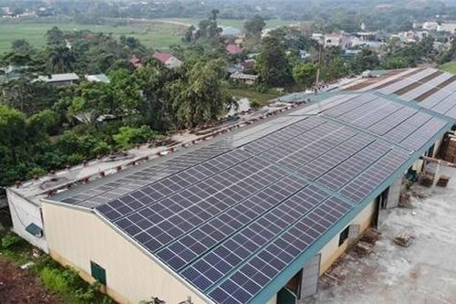 Sóng đầu tư nông nghiệp kết hợp điện mặt trời áp mái tại Quảng Trị