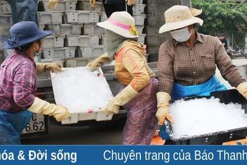Những người phụ nữ ở cảng cá