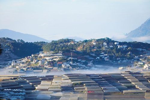 Nhà kính, nhà lưới - hai chiều thuận, nghịch