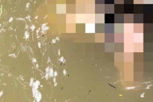 Thừa Thiên Huế: Phát hiện thi thể người phụ nữ trên sông Hương