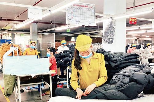Nhanh chóng phục hồi chuỗi sản xuất