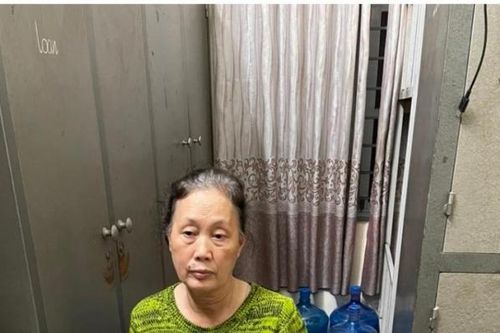 'Tú bà' sa lưới sau gần 20 năm trốn truy nã