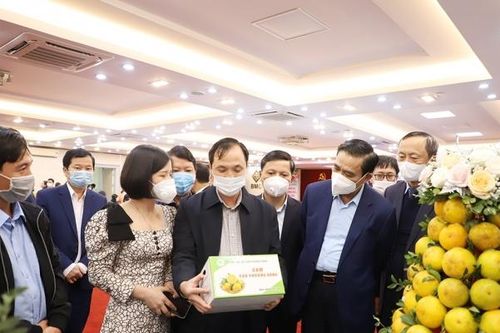 Mở lối tiêu thụ cam Hà Tĩnh qua các kênh phân phối hiện đại