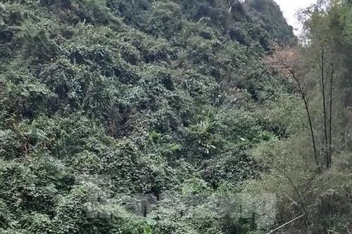 Lạng Sơn: Xôn xao thi thể cô buôn gà trên núi cao