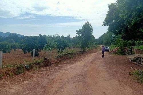 Bán vàng lướt sóng đất, vợ chồng trẻ sống trong lo lắng