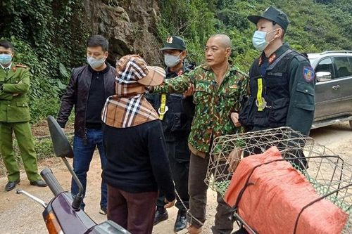 Thực nghiệm hiện trường người phụ nữ giao gà bị sát hại rồi giấu xác trên núi