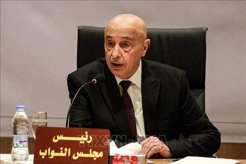 Libya kết thúc quá trình tiếp nhận hồ sơ của các ứng cử viên tổng thống