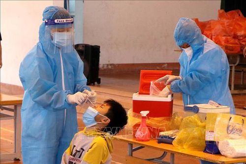 Phú Thọ: Nguy cơ lây lan từ ổ dịch chợ Bồ Sao