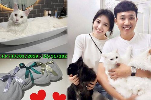 Trấn Thành báo tin buồn Ya-Ua té lầu không qua khỏi: 'Ba mẹ xin lỗi con nhiều lắm'