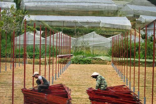 Nhà kính, nhà lưới - hai chiều thuận, nghịch (bài 2)