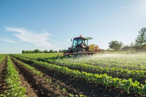 Canh tác thân thiện với khí hậu: Giải pháp từ sự tan chảy của các dòng sông băng