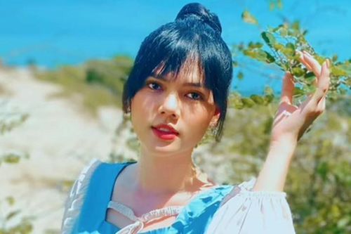Người mẫu Lê Ngọc Trinh: Sự nghiệp mờ nhạt, đời tư ồn ào