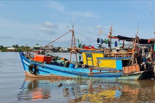 Giá nhiên liệu tăng, nhiều tàu cá nằm bờ