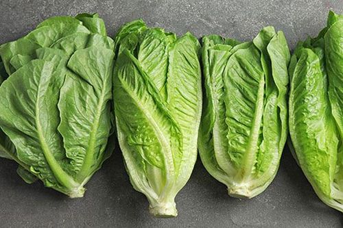 Nghiên cứu cho thấy, một số rau xanh dễ có khuẩn E. coli