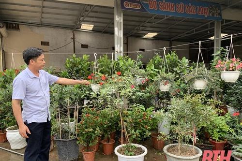 Nghề trồng hoa, cây cảnh chuẩn bị vào vụ tết