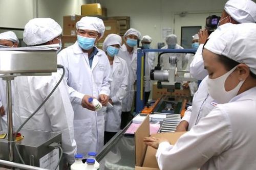 Cuộc đua sản xuất vaccine dịch tả lợn châu Phi vẫn chưa có đơn vị nào cán đích