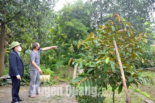 Làm tốt công tác giải phóng mặt bằng các công trình trọng điểm