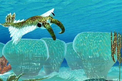 Nóng lên toàn cầu: Những sự thật không phải ai cũng biết
