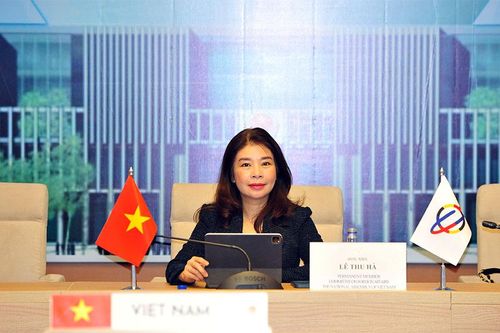 Đoàn đại biểu Quốc hội Việt Nam dự phiên họp chuẩn bị văn kiện APPF-29