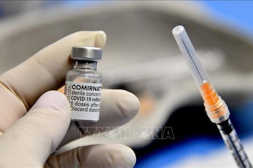 Italy dự kiến tiêm vaccine ngừa COVID-19 cho trẻ 5-11 tuổi từ tháng 12