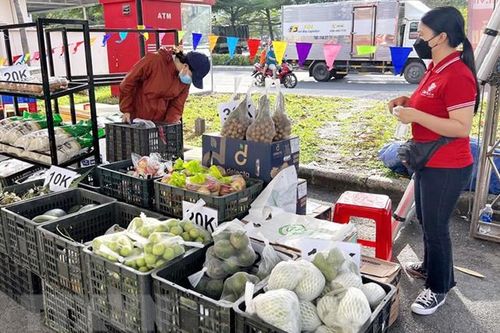 Gần 80% chợ truyền thống ở thành phố Hồ Chí Minh khôi phục hoạt động