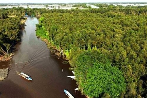 Bảo tồn và sử dụng bền vững các vùng đất ngập nước giai đoạn 2021-2030