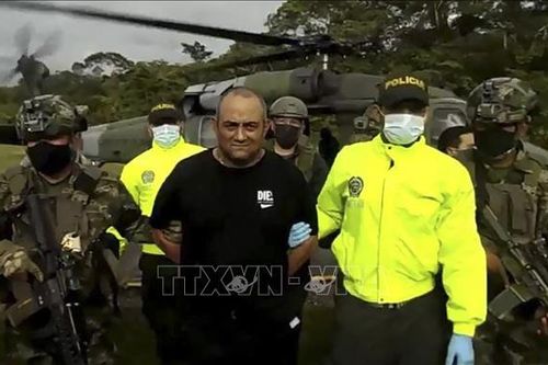 Mỹ đề nghị Colombia dẫn độ trùm ma túy Otoniel