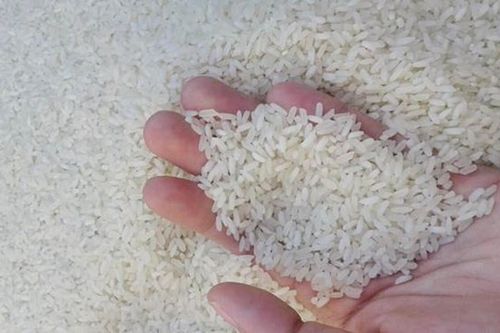 3 chị em nhập viện cấp cứu vì nghi ăn nhầm gạo tẩm thuốc diệt chuột