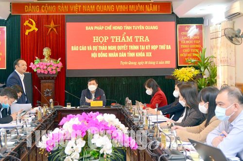 Các ban HĐND tỉnh thẩm tra dự thảo nghị quyết trình tại kỳ họp thứ ba, HĐND tỉnh khóa XIX