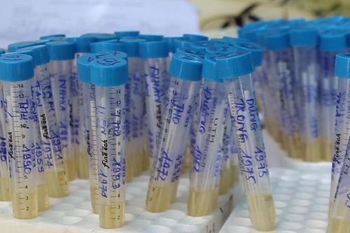 Đà Nẵng: Thêm 66 ca Covid-19, lên kế hoạch cho sinh viên học trực tiếp