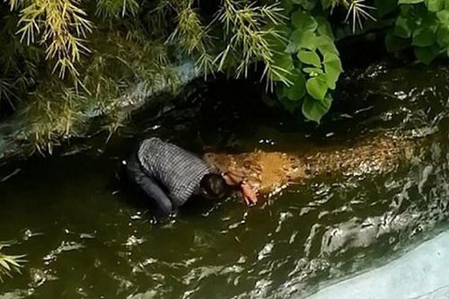 Bị cá sấu 12m cắn suýt đứt tay chân vì suy nghĩ 'ngớ ngẩn'