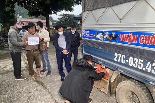 Phá đường dây buôn bán ma túy quốc tế, bắt 3 đối tượng, thu giữ 40 bánh heroin