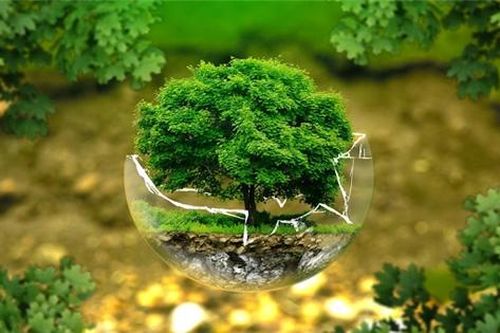 Doanh nghiệp ngóng phản hồi về dự thảo nghị định đầy tranh cãi