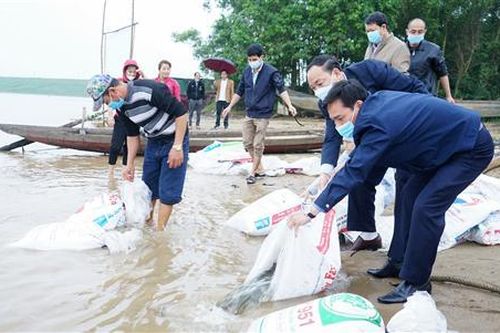 Thả hơn 13.600 con cá giống tái tạo nguồn lợi thủy sản