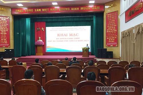 147 thí sinh tham gia Kỳ thi tuyển công chức cấp xã Thành phố năm 2021