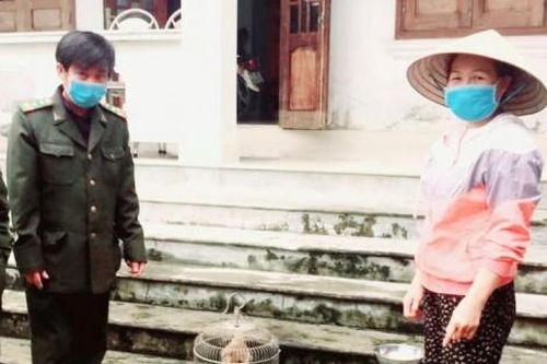 Kinh tế Kinh tế Tiếp nhận và thả về rừng cá thể cu li do người dân giao nộp